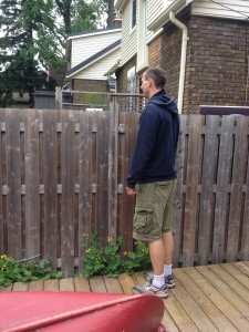 Tall People See Over the Neighbors Fence