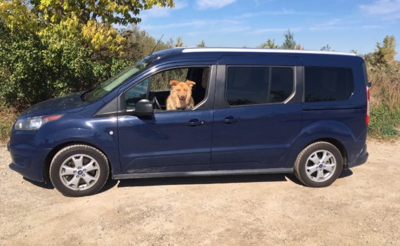 Tall Driver Gets Ford Transit Connect Passenger Wagon